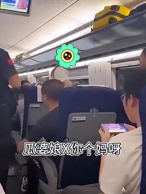 高铁事件最新爆料新闻,揭秘背后惊人真相  第1张